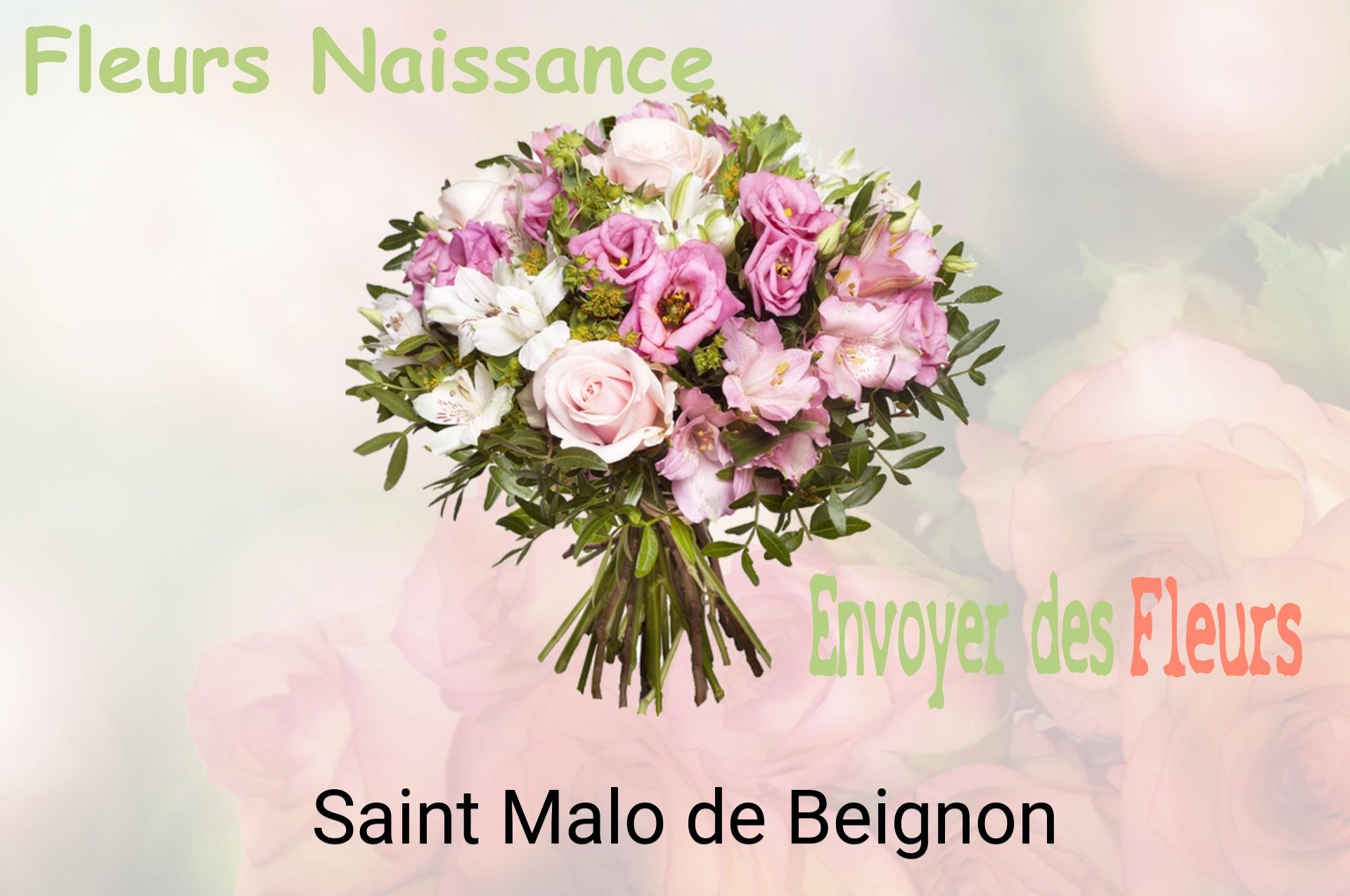 Bouquet de fleurs de naissance livré à Saint-Malo-de-Beignon